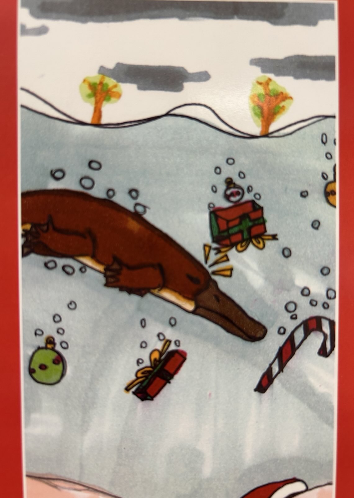 Penrith Students Shine Bright as the Year comes to a Close Main Image